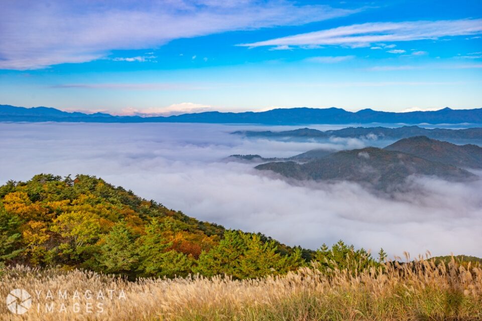 十分一山と高ツムジ山の雲海（南陽市）