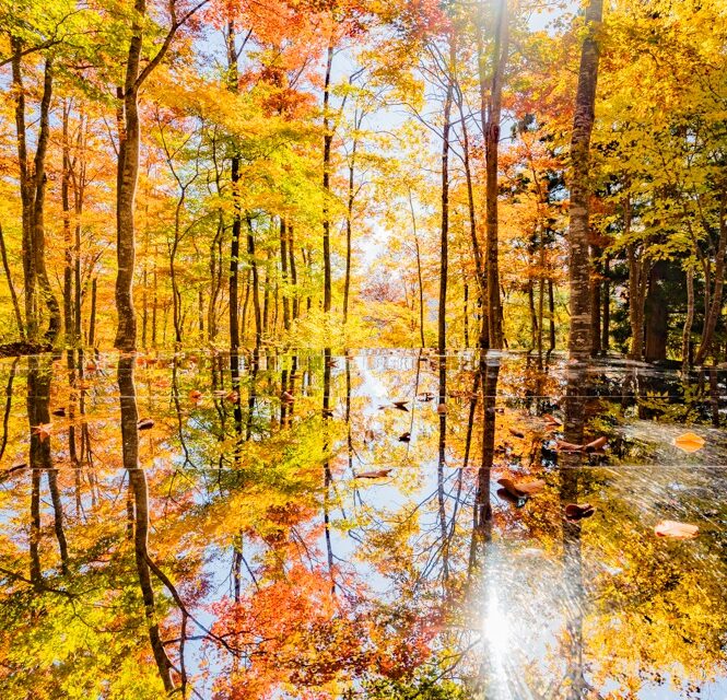 紅葉の空気神社（朝日町）